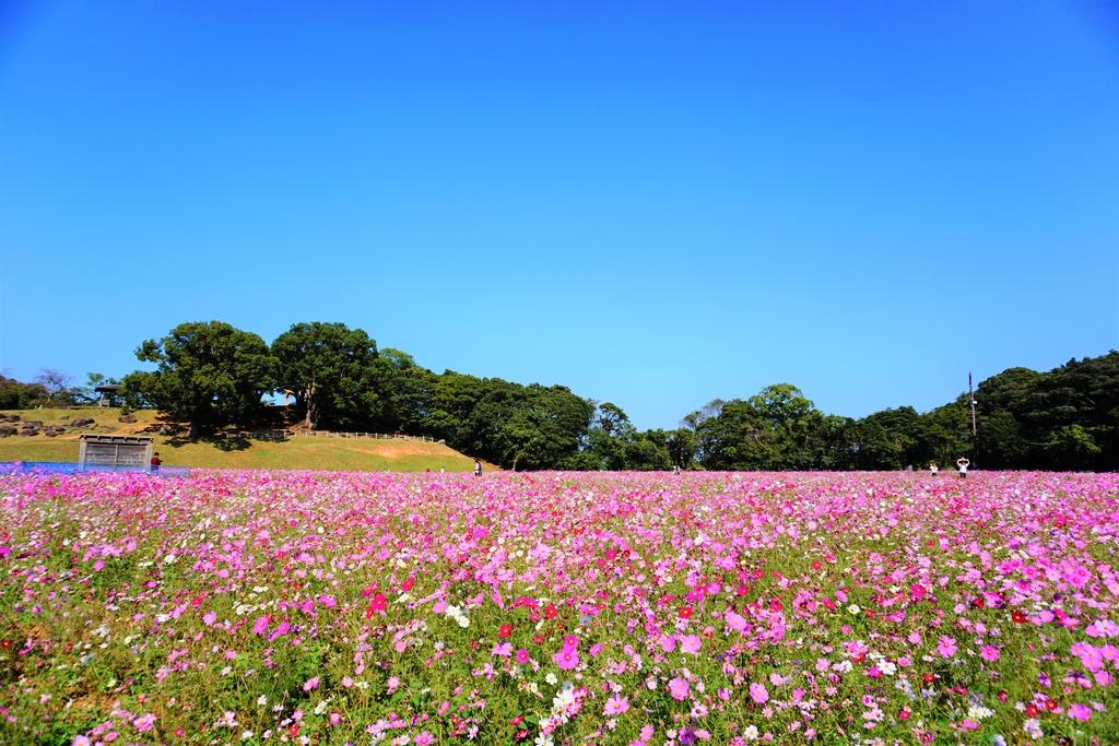 덴카이호 전망대 (展海峰)-9
