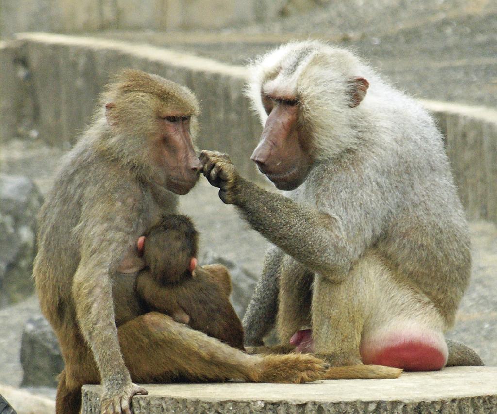 九十九島動植物園森閃閃-6
