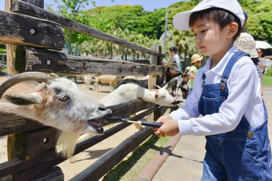 西海国立公园 九十九岛动植物园森闪闪-2