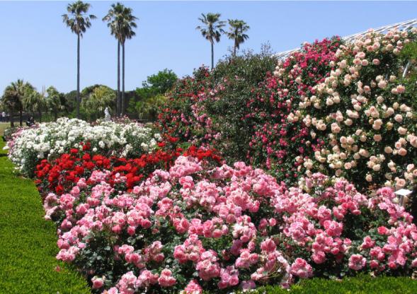 西海国立公园 九十九岛动植物园森闪闪-8