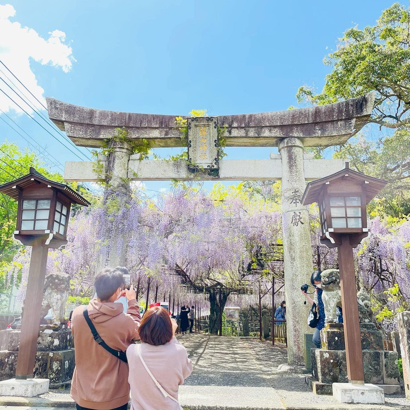 藤山神社 観光スポット 公式 長崎観光 旅行ポータルサイト ながさき旅ネット