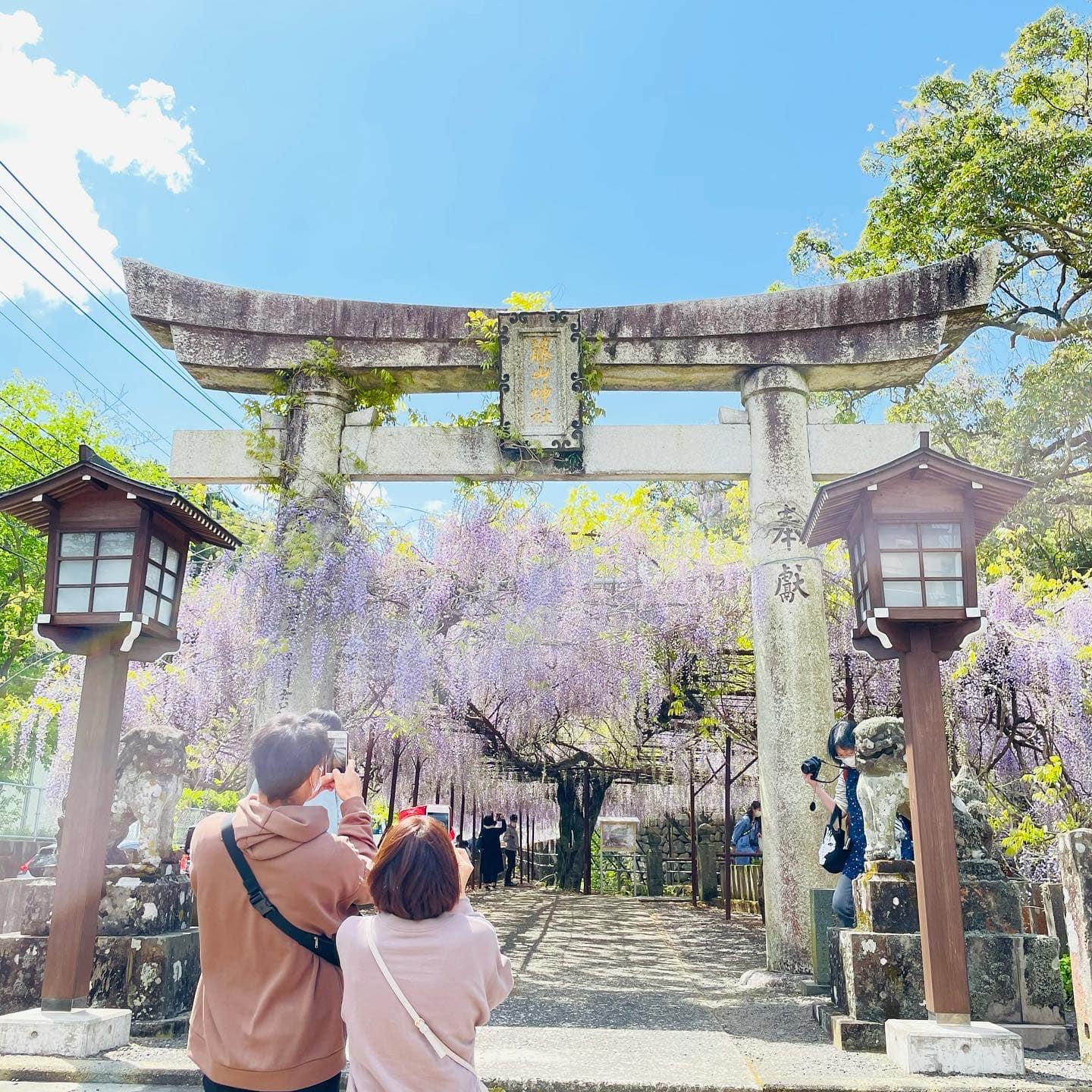 후지야마 신사 (藤山神社)-1