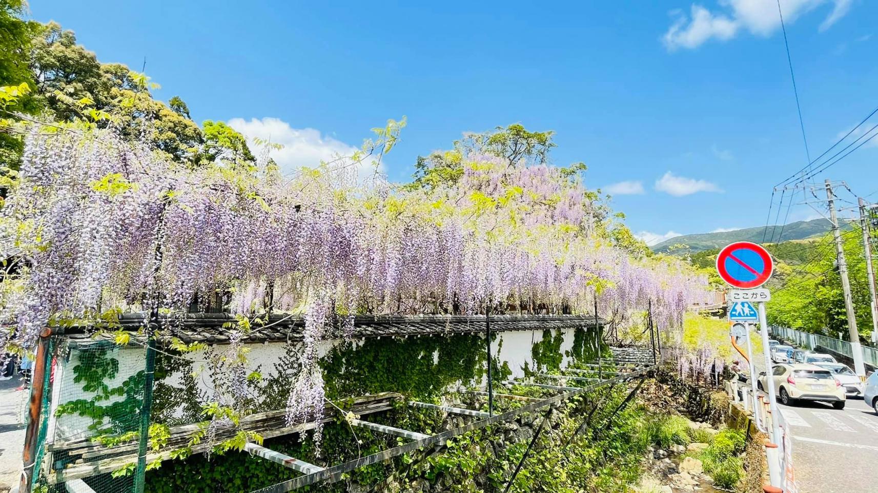 藤山神社 観光スポット 公式 長崎観光 旅行ポータルサイト ながさき旅ネット