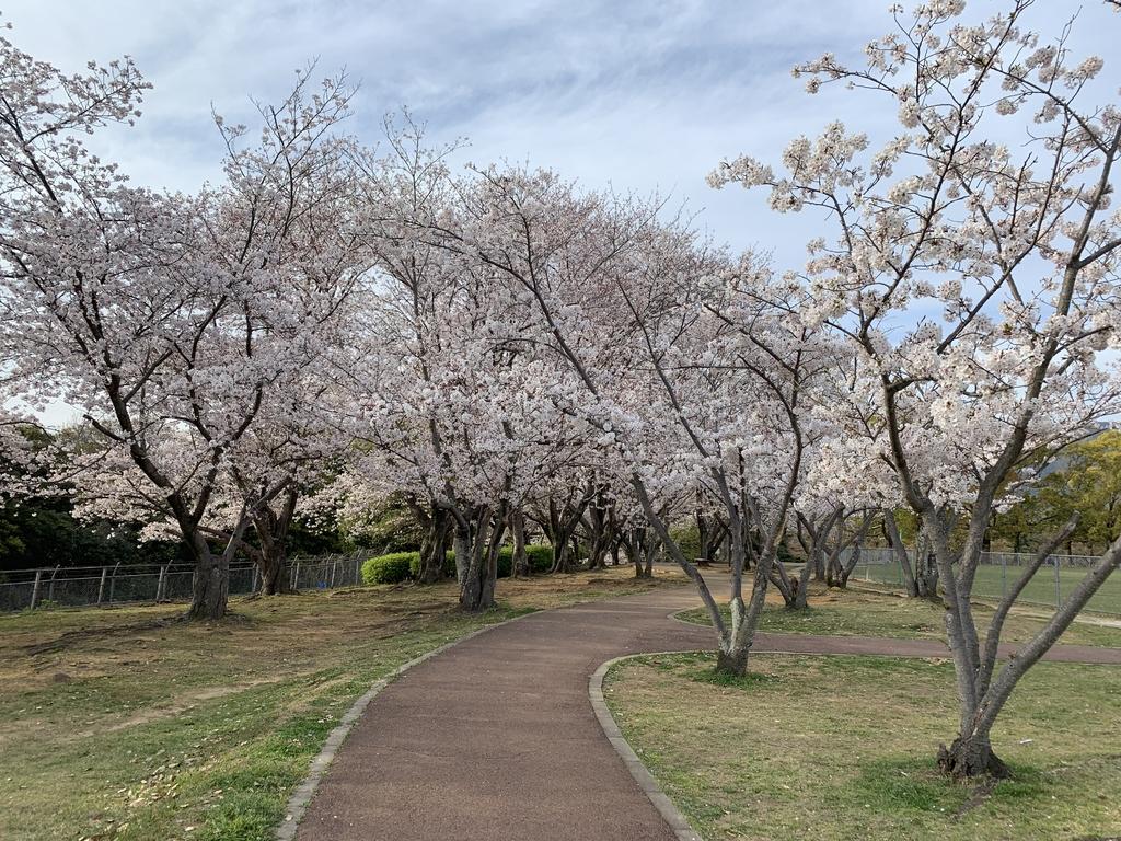 天神公園-1