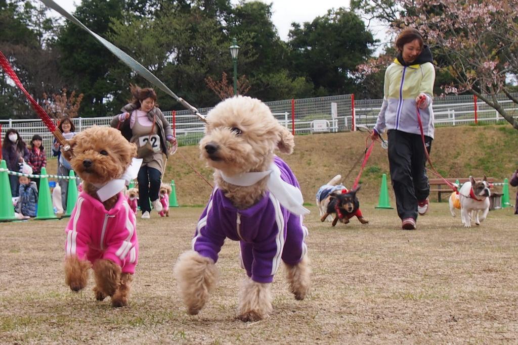 えぼしスポーツの里-6