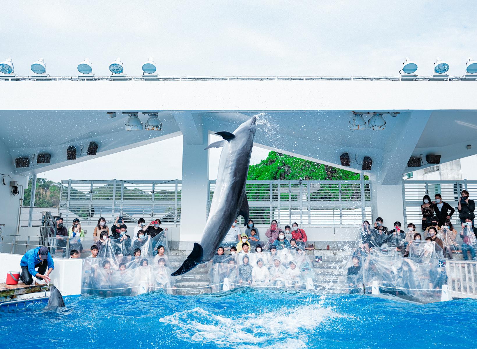 九十九島水族館 海きらら-1
