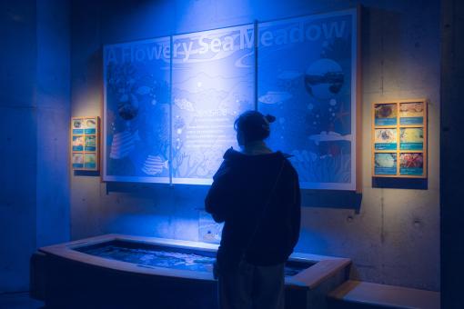 Kujukushima Aquarium Umi-Kirara-5
