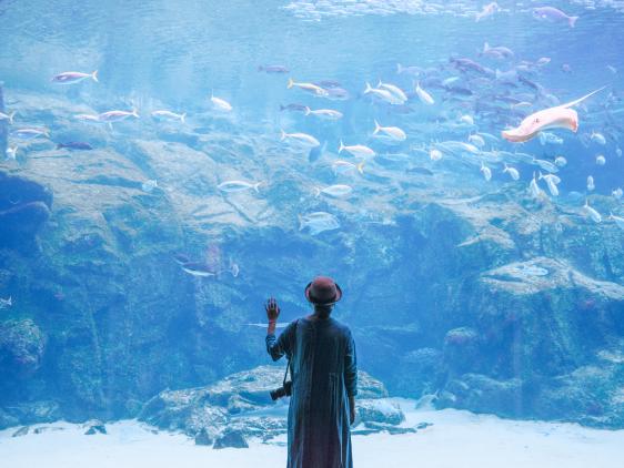 九十九島水族館 海きらら-0