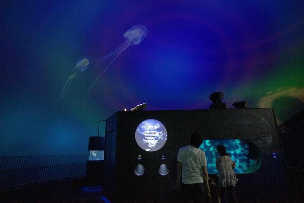 Kujukushima Aquarium Umi-Kirara-3
