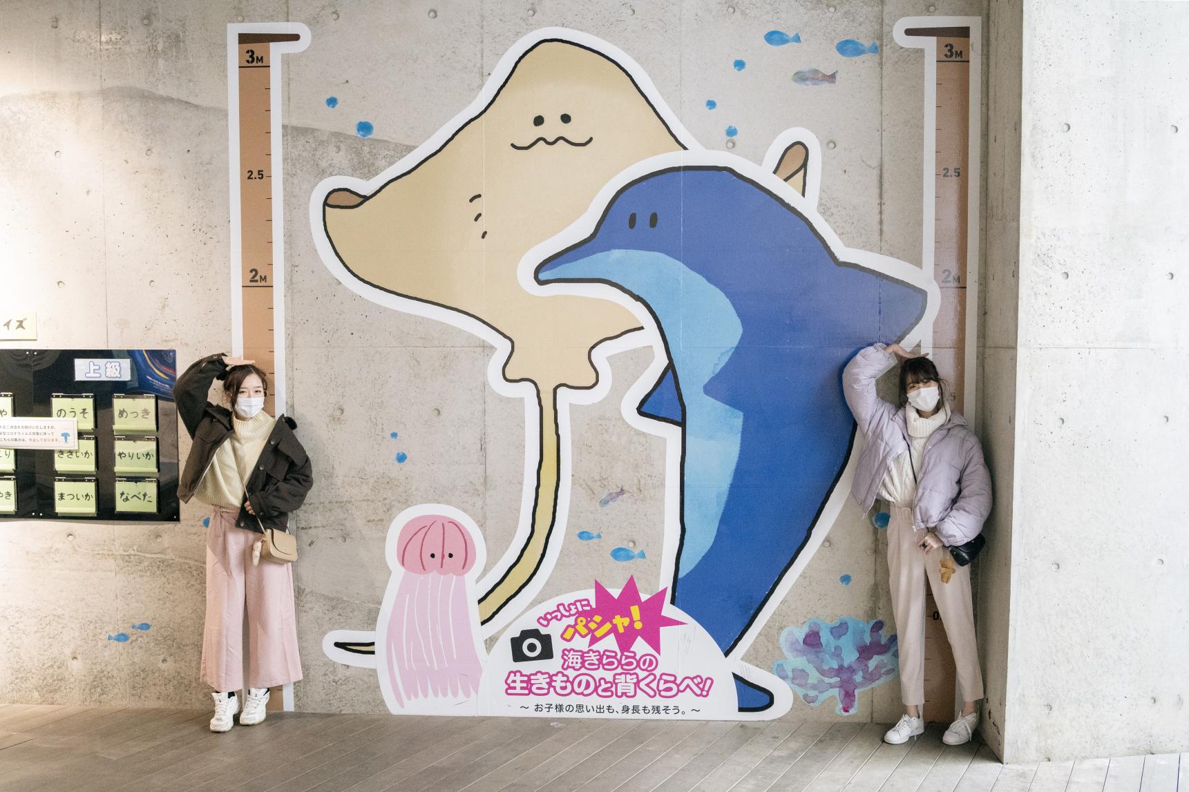 Kujukushima Aquarium Umi-Kirara-6