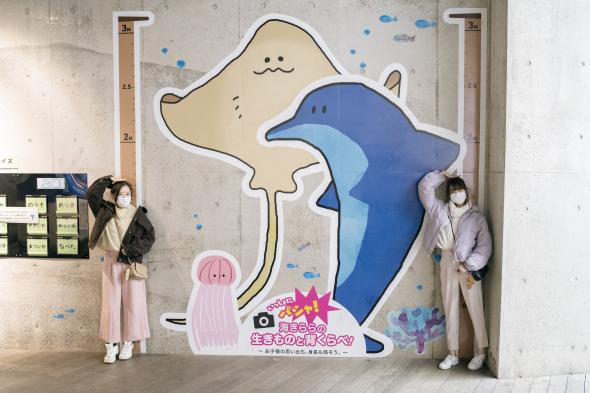 Kujukushima Aquarium Umi-Kirara-6