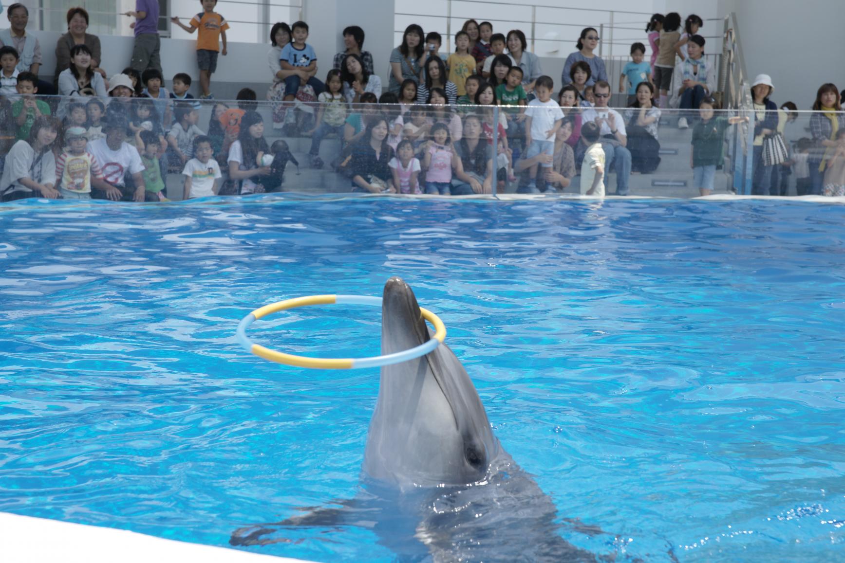 Kujukushima Aquarium Umi-Kirara-9