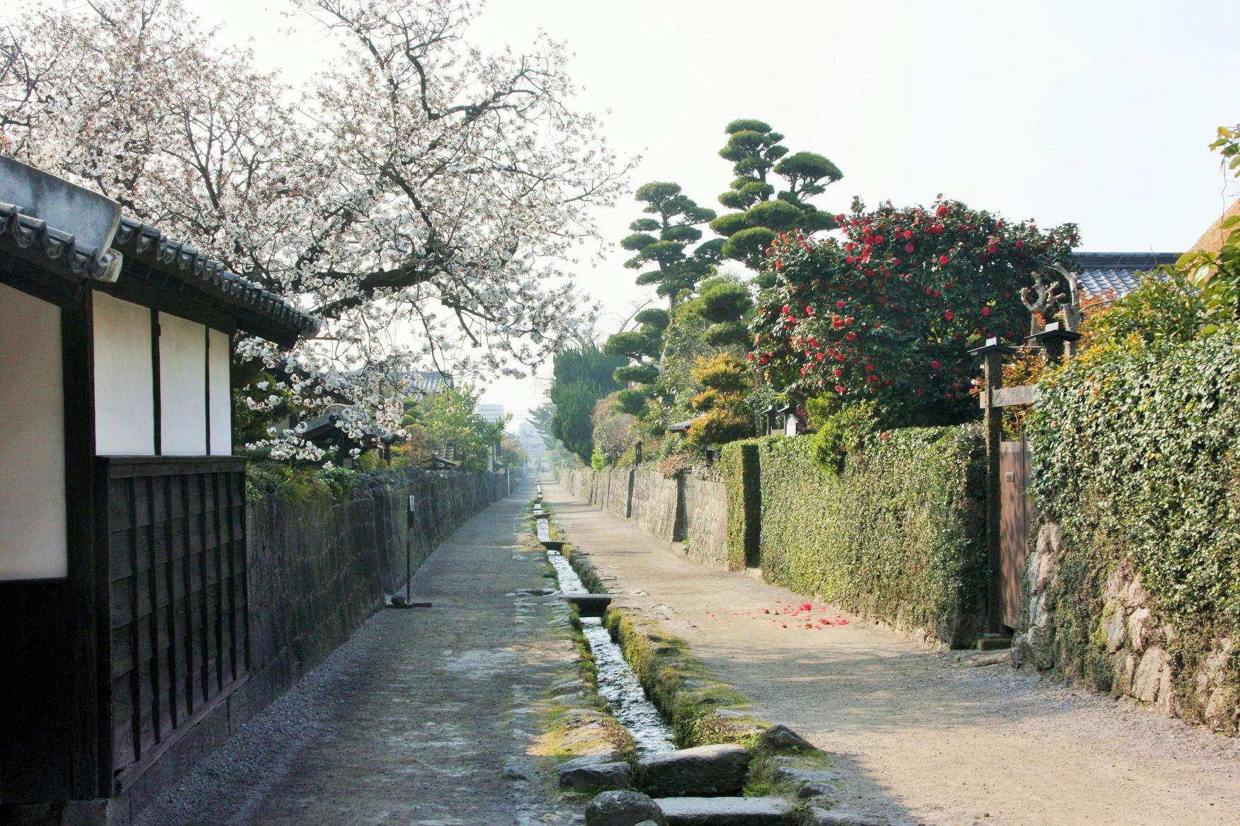 島原武家屋敷-1