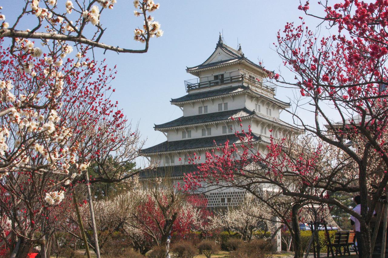 Shimabara Castle-7