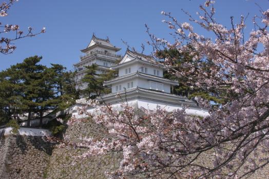 Shimabara Castle-8