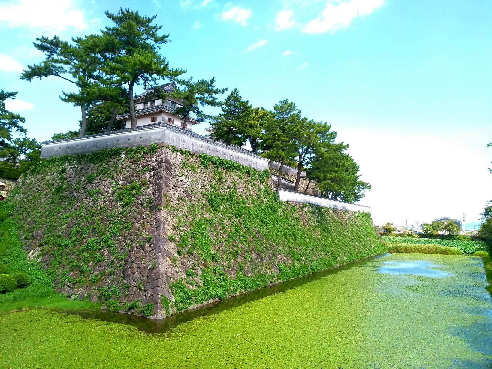 Shimabara Castle-2
