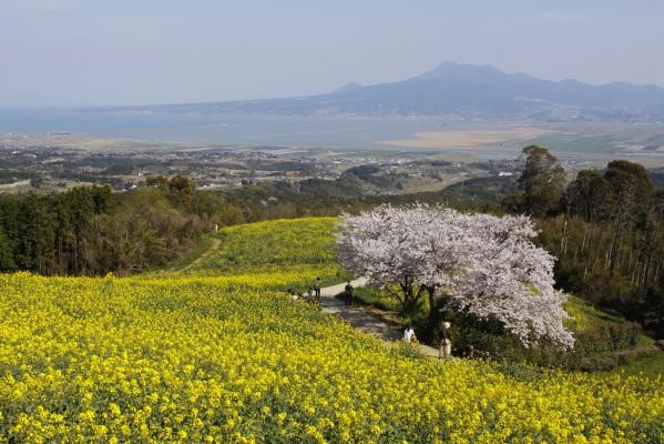 白木峰高原-0