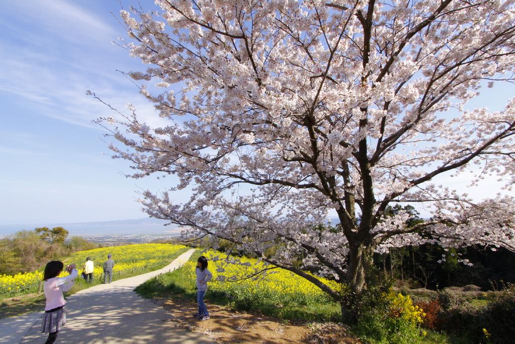 白木峰高原-2