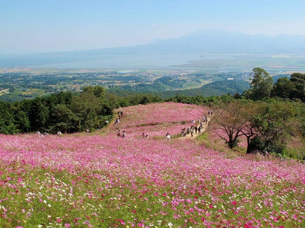 白木峰高原-4