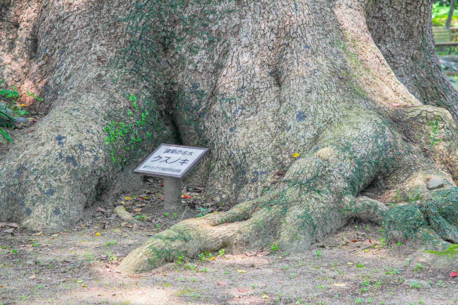 諫早公園-6