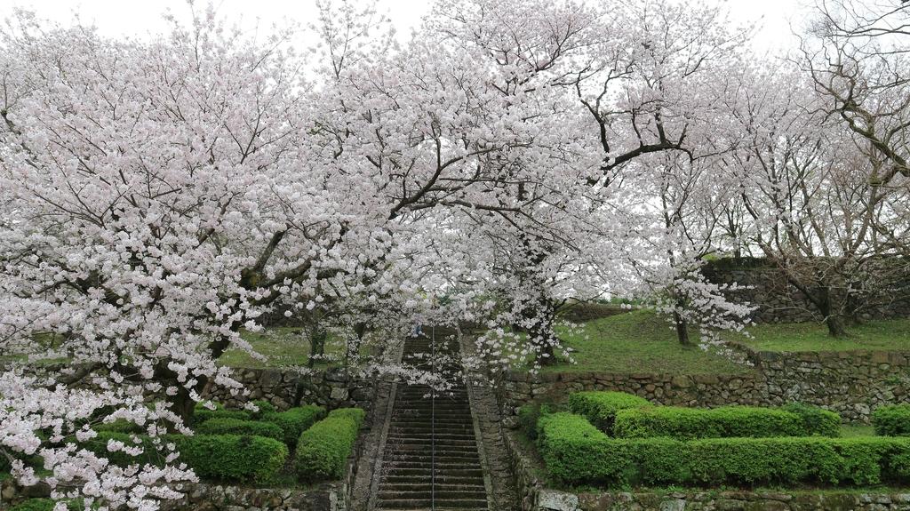 旧円融寺庭園　（国指定名勝）-0