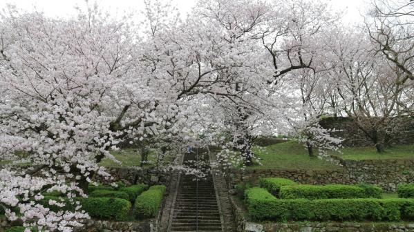 舊円融寺庭園　（國指定名勝）-0