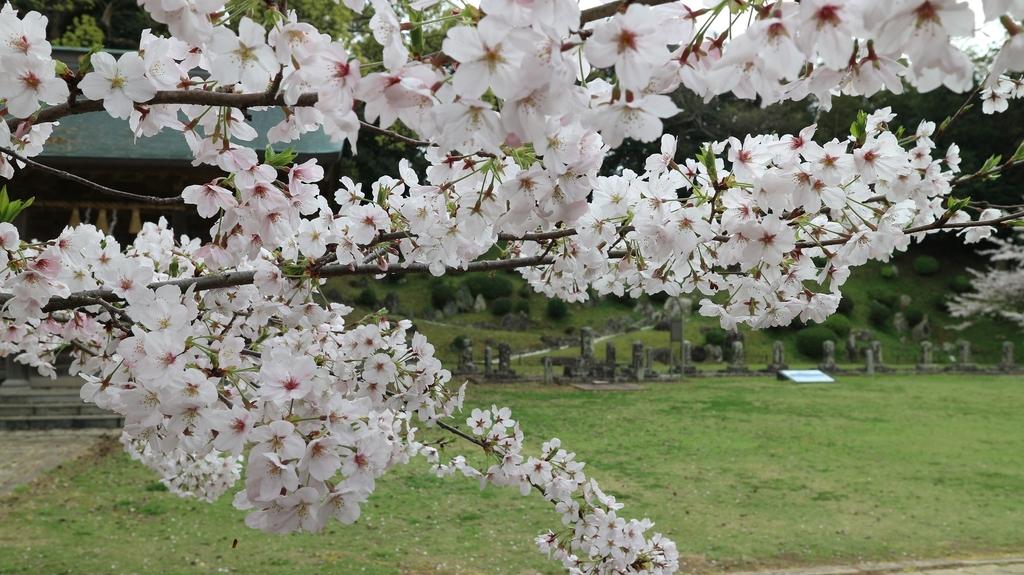 旧円融寺庭園　（国指定名勝）-2