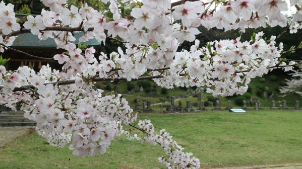 舊円融寺庭園　（國指定名勝）-2