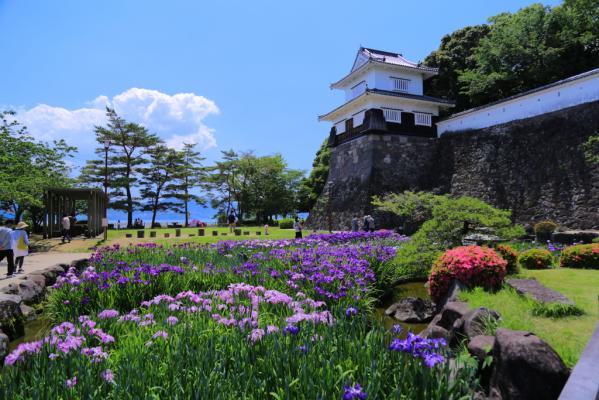 오무라 공원 / 구시마 성터 (大村公園 / 玖島城跡)-5