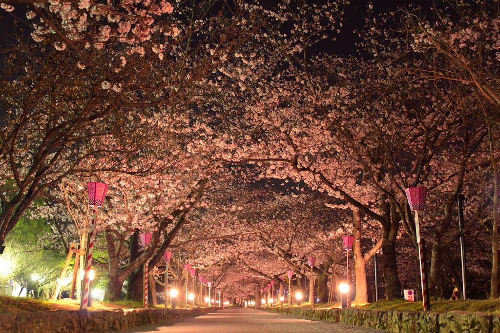 오무라 공원 / 구시마 성터 (大村公園 / 玖島城跡)-2