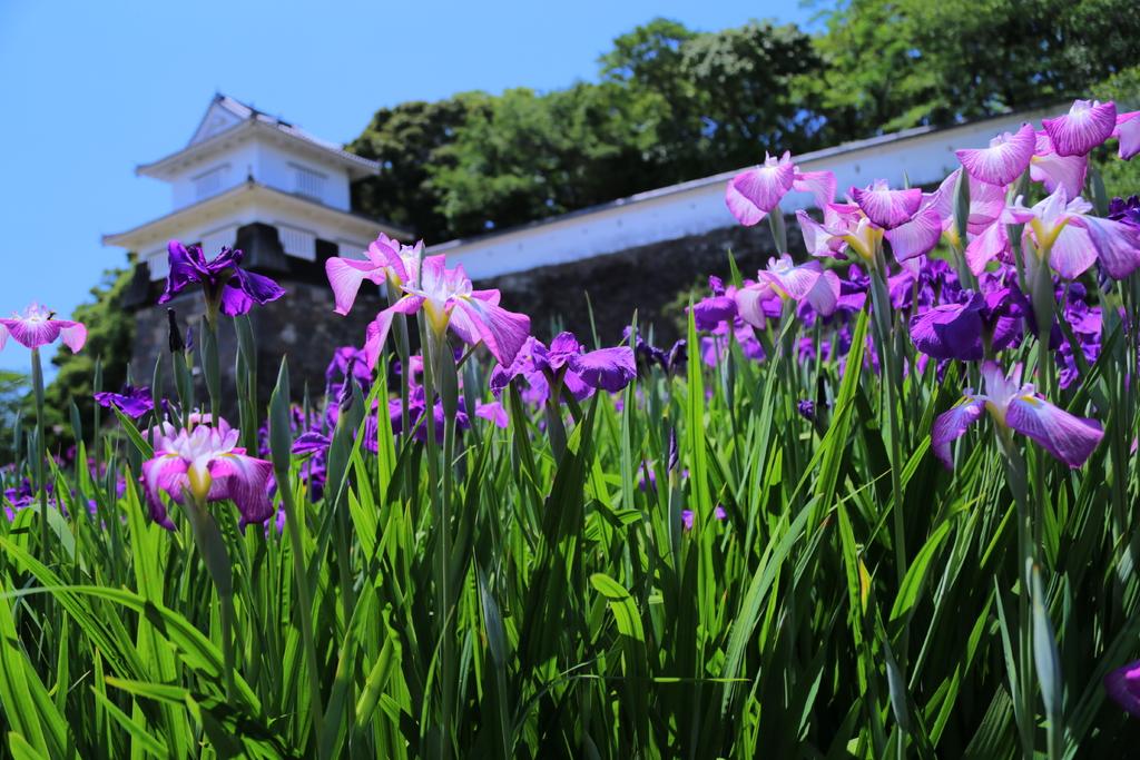 오무라 공원 / 구시마 성터 (大村公園 / 玖島城跡)-6