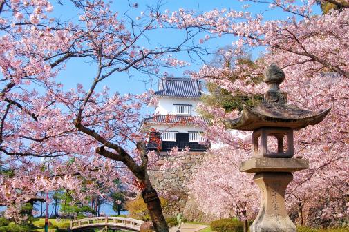 大村公園（玖島城跡）-0