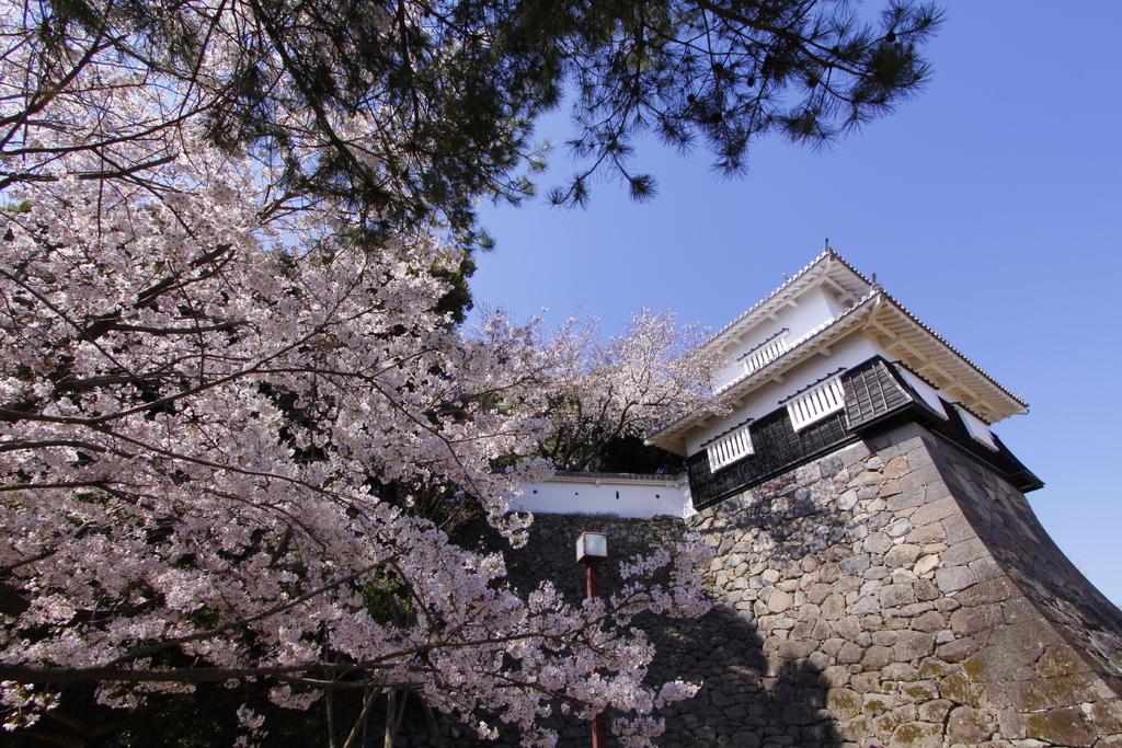 오무라 공원 / 구시마 성터 (大村公園 / 玖島城跡)-1