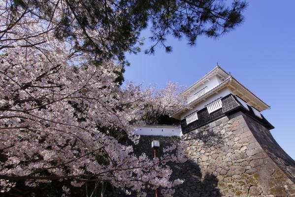 大村公園（玖島城跡）-1