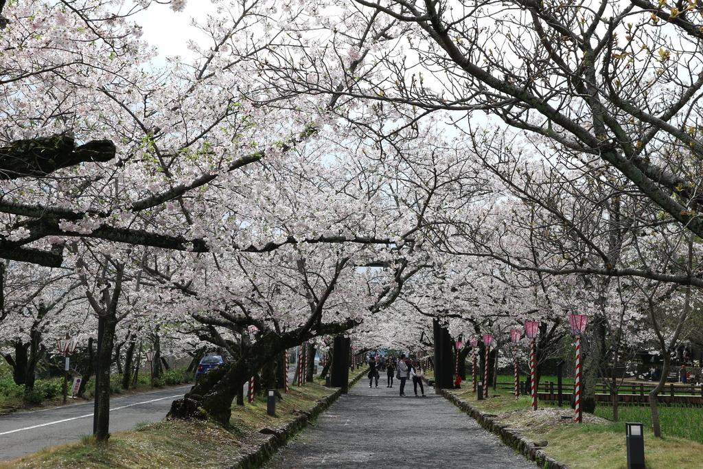 오무라 공원 / 구시마 성터 (大村公園 / 玖島城跡)-4