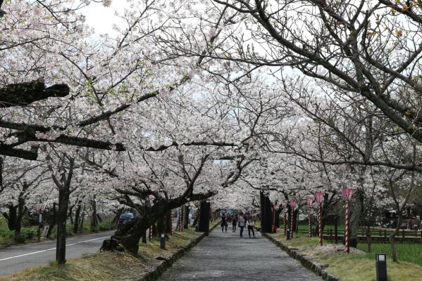 大村公園（玖島城跡）-4