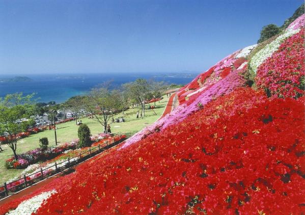 不老山花と光のフェスタ-0