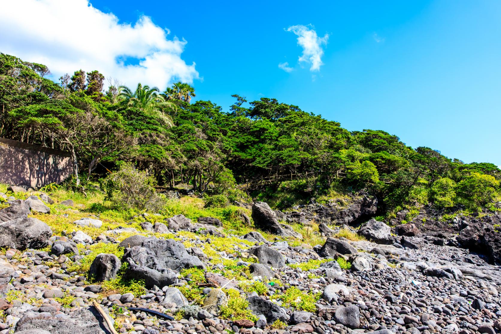 鐙瀬熔岩海岸-1