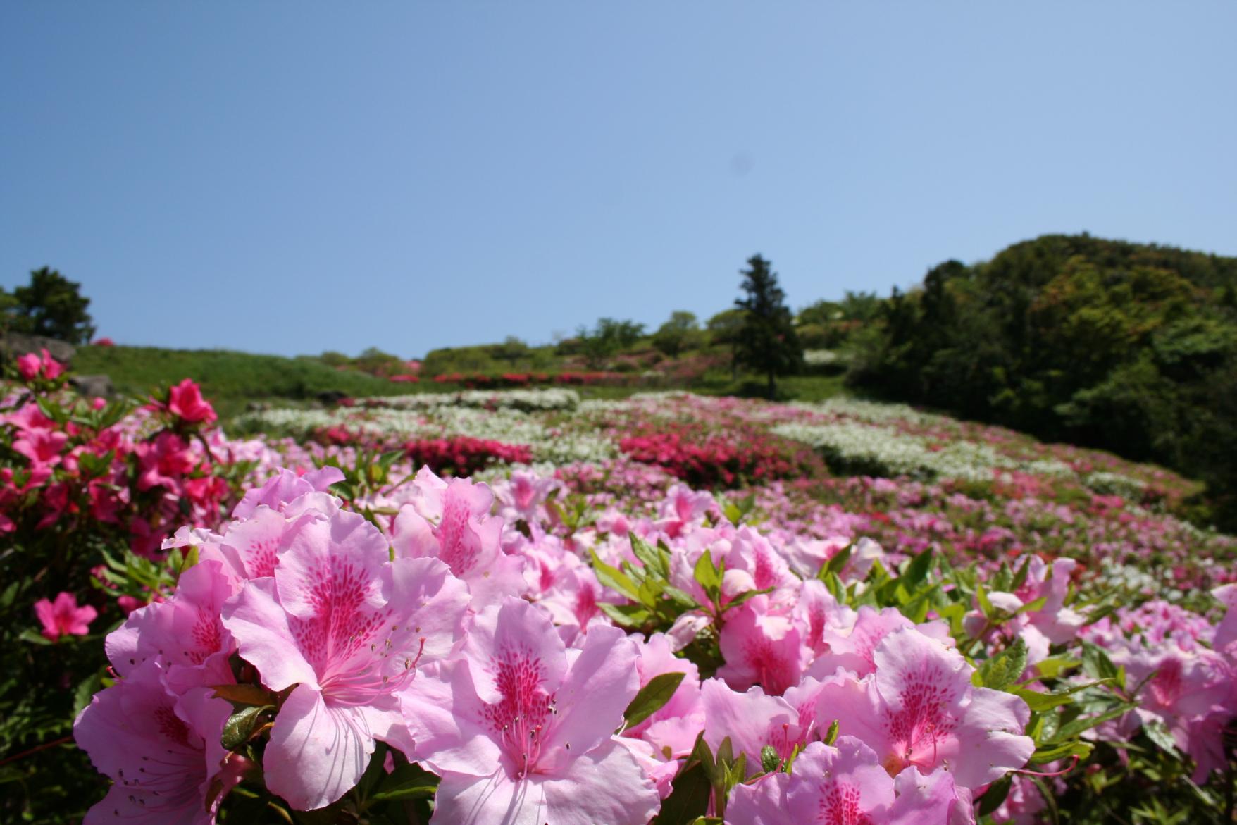 가와치토우게 고개 (川内峠)-1