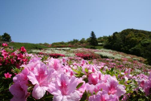 川内峠-7