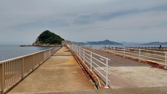 高島飛島磯釣り公園-3