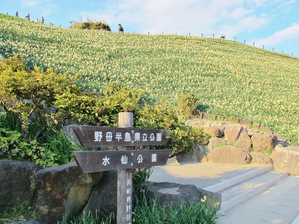 水仙公園-1