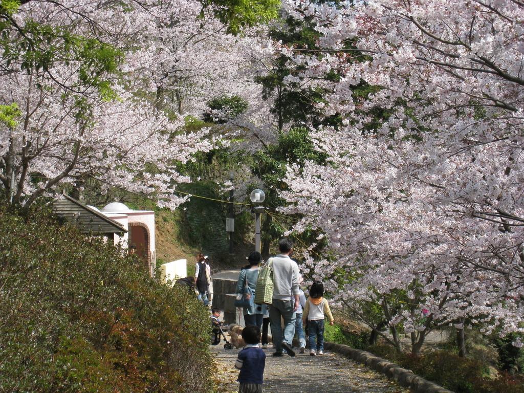 나카오 성 공원 (中尾城公園)-2