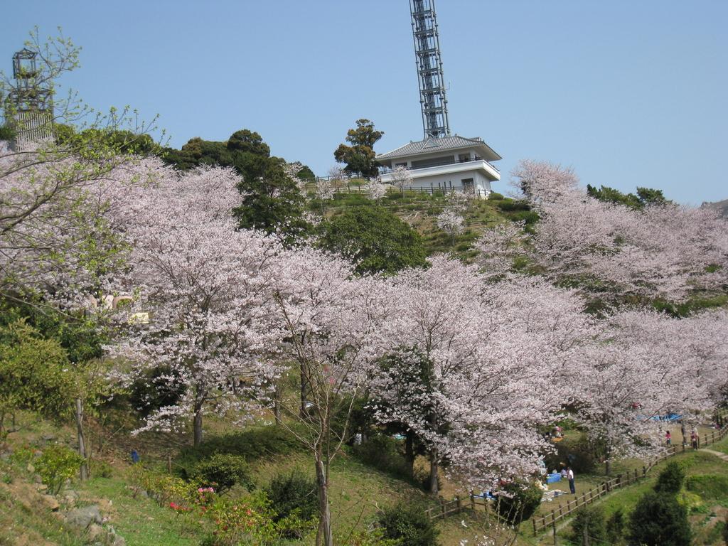 中尾城公園-1