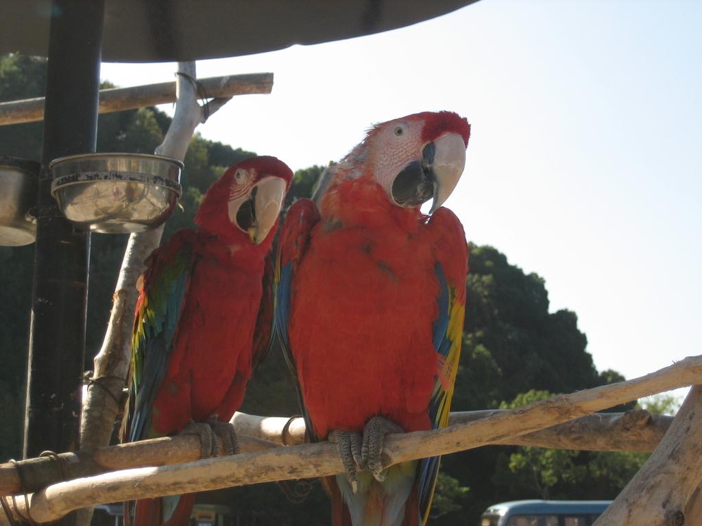 Nagasaki Bio Park-6