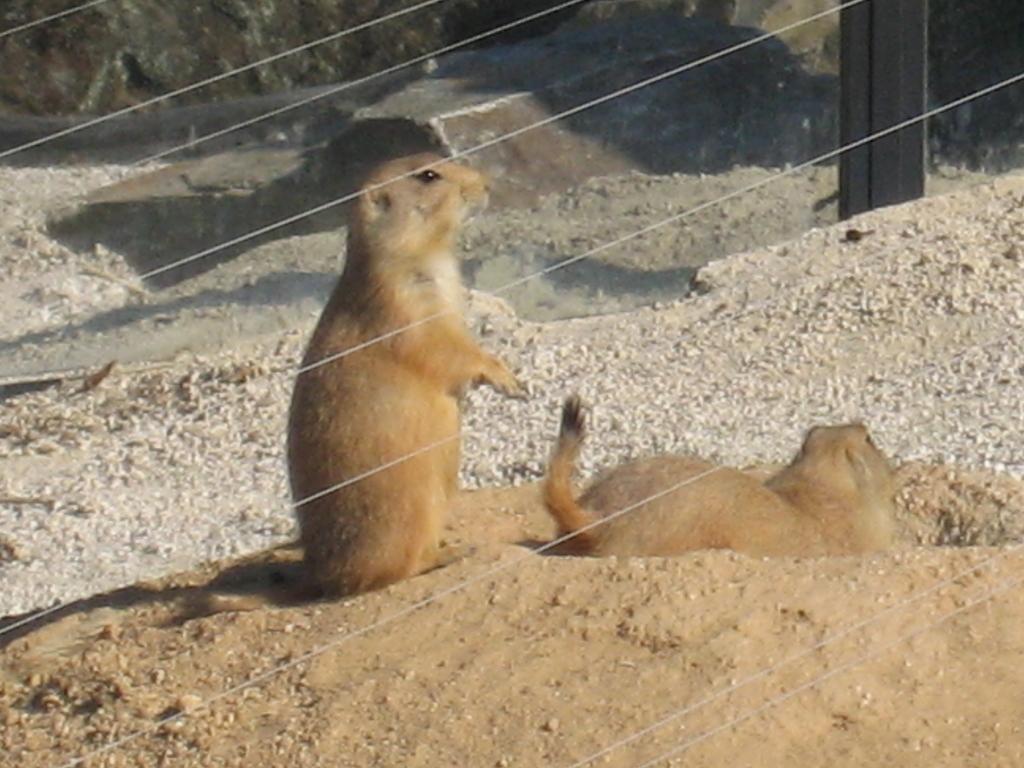 Nagasaki Bio Park-5