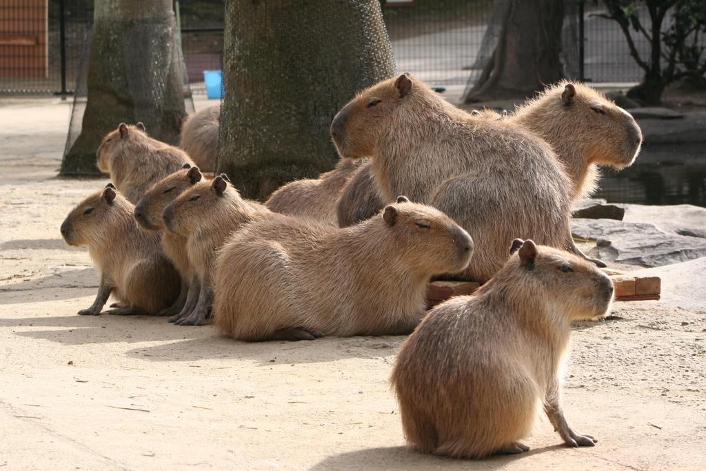 【第1天】長崎BIO PARK-1