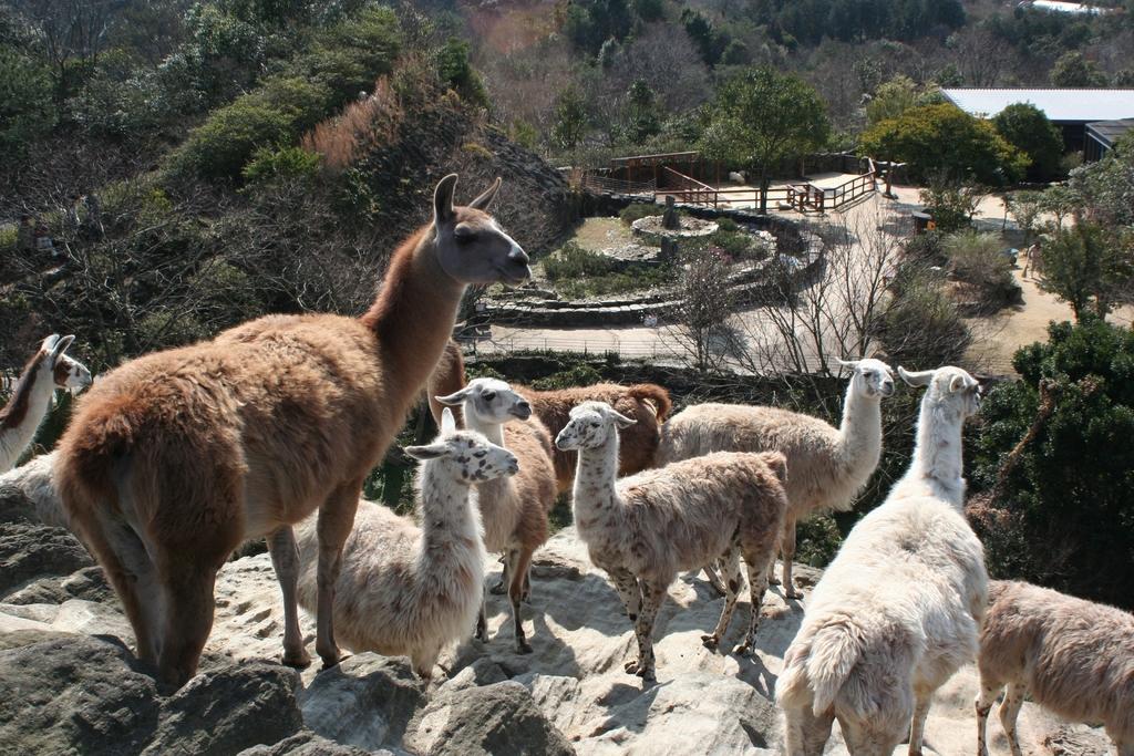 나가사키 바이오파크 (長崎バイオパーク)-1