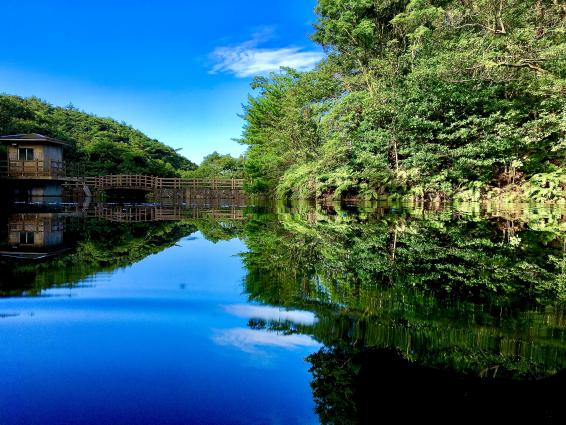 ながさき県民の森-5