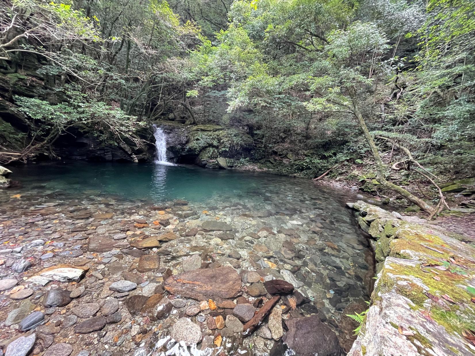 ながさき県民の森-8